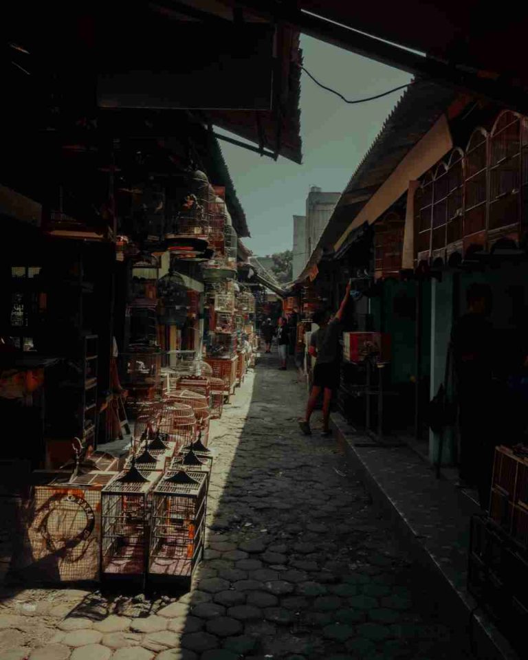 Corridor of life’s Transactions