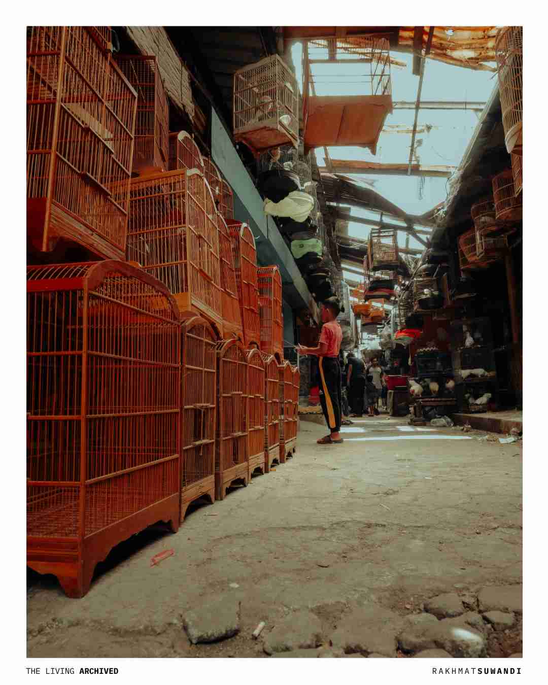 Corridor of Life Transactions Pasar Burung Sukahaji Bandung Nikon Z50