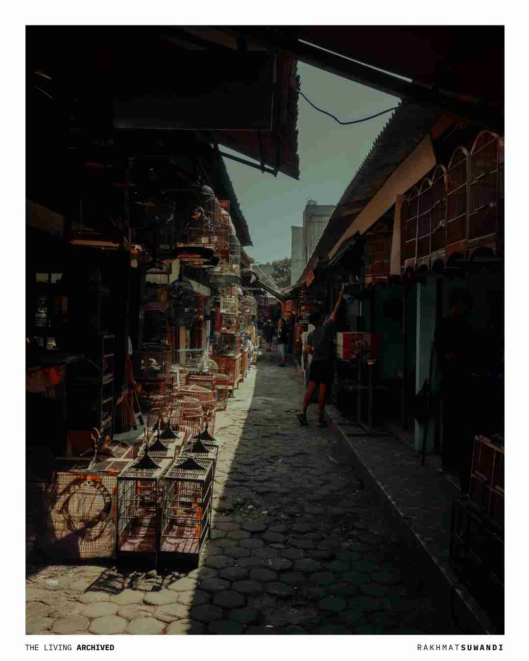 Corridor of Life Transactions Pasar Burung Sukahaji Bandung Nikon Z50
