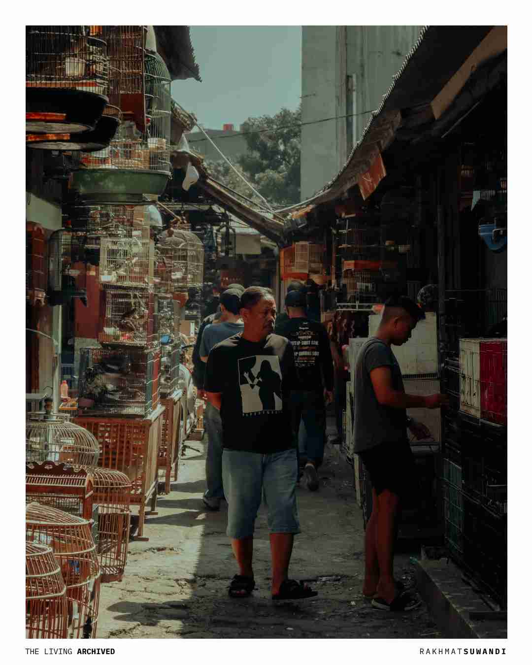 Corridor of Life Transactions Pasar Burung Sukahaji Bandung Nikon Z50