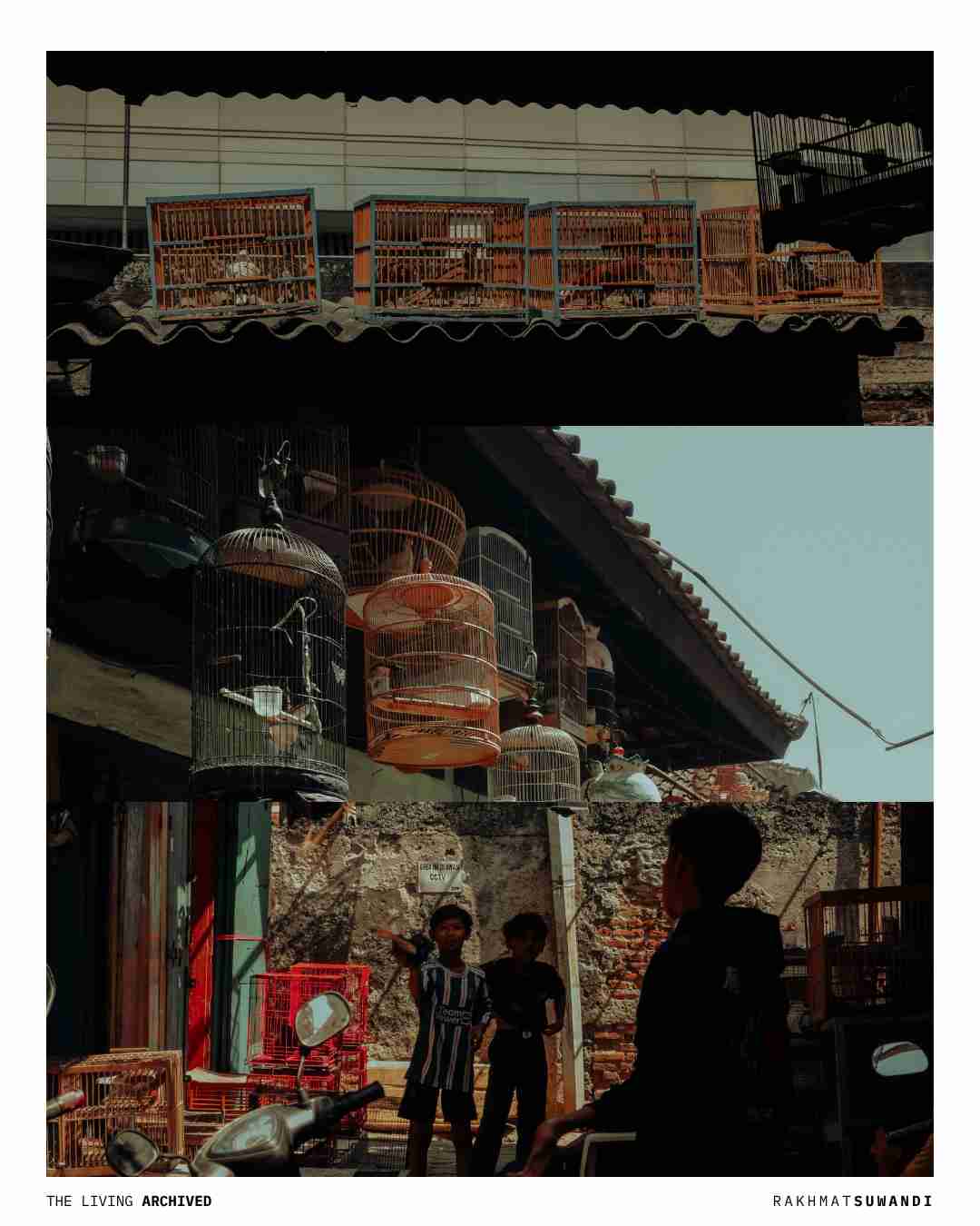 Corridor of Life Transactions Pasar Burung Sukahaji Bandung Nikon Z50