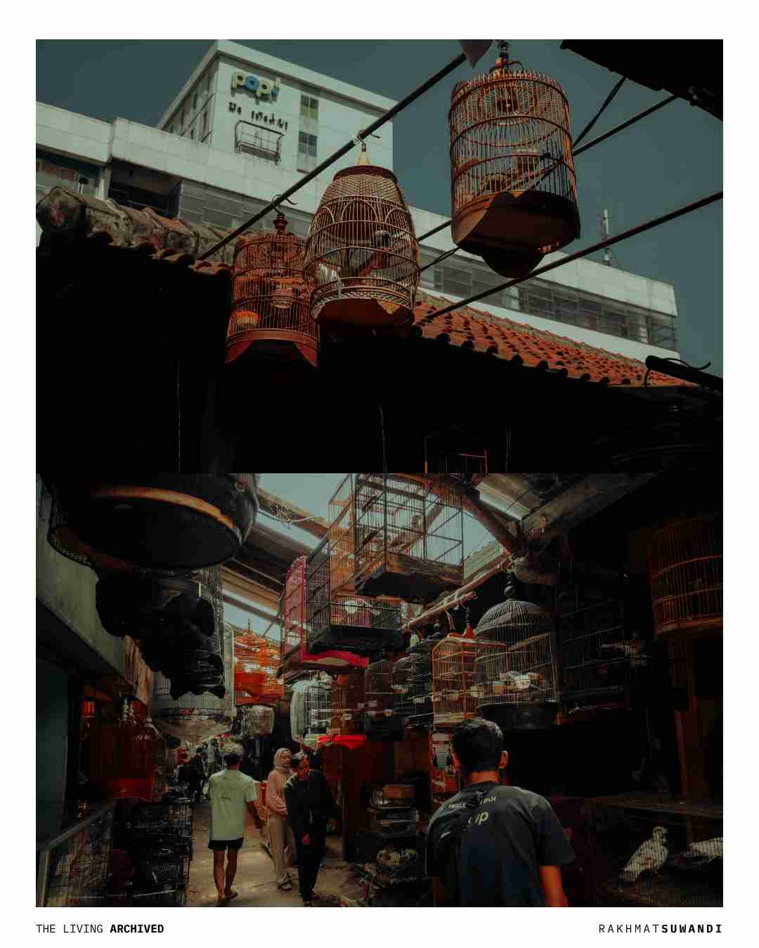 Corridor of Life Transactions Pasar Burung Sukahaji Bandung Nikon Z50
