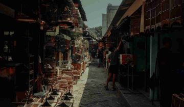 Corridor of life’s Transactions